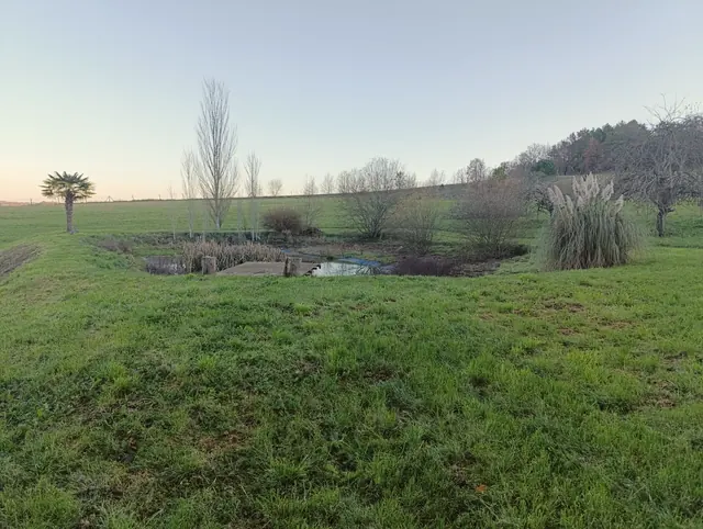 L'étang au fond du pré, son ponton et son palmier